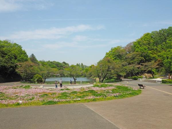 横浜市鶴見区駒岡4丁目の中古一戸建て(三ツ池都市緑地2号)