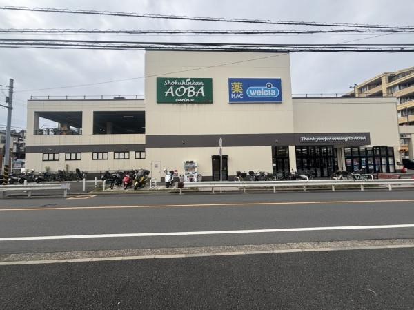 横浜市磯子区磯子７丁目の土地(食品館あおば岡村店)