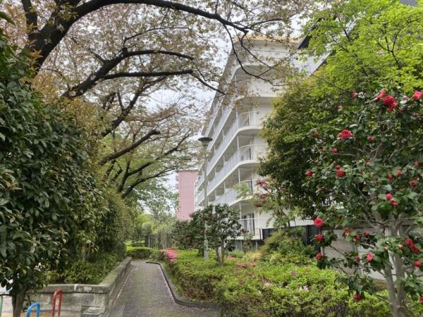 コープ野村大森