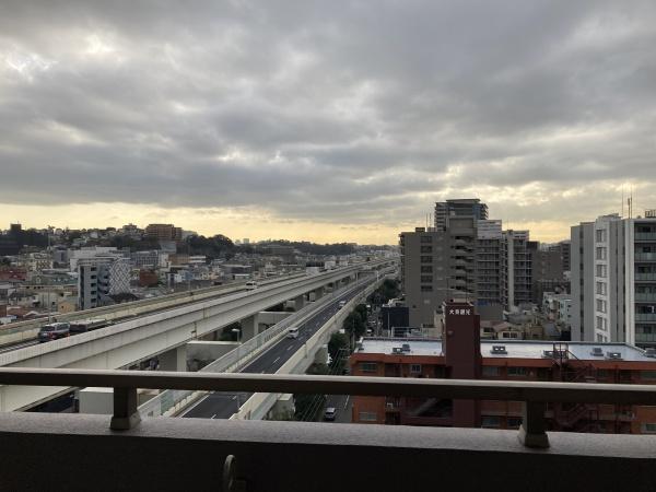 ラディエンス関内南