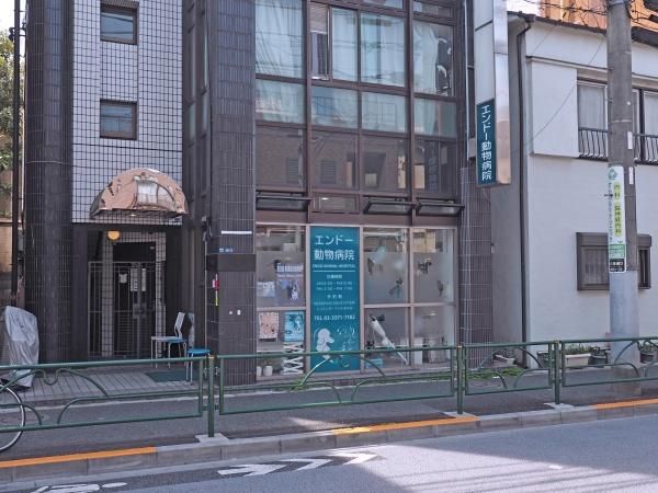 グローベル新大久保マスターズゲート(エンドー動物病院)