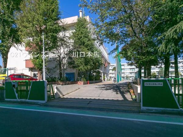川口市柳崎２丁目の中古一戸建て(川口市立柳崎小学校)