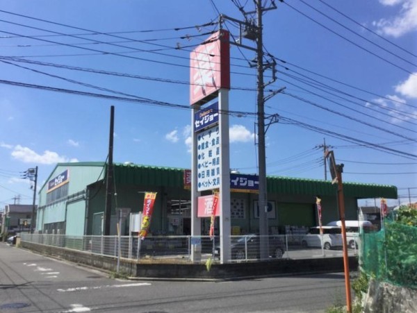 川口市柳崎２丁目の中古一戸建て(デイリーケアセイジョー浦和円正寺店)