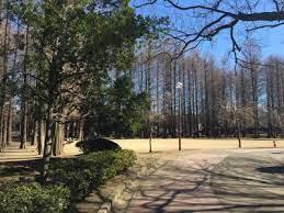 浦和区瀬ケ崎1丁目No5(駒場緑地)