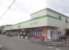 三郷市早稲田III 全1棟(コープ早稲田店)