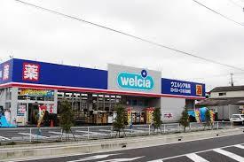 越谷市蒲生1丁目の土地(ウエルシア草加金明店)