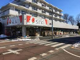 さいたま市大宮区天沼町１丁目の中古一戸建て(ドラッグストアセキ堀の内町店)