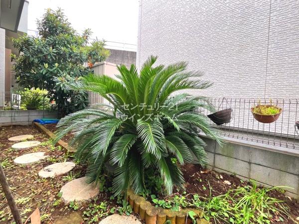 川口市本町１丁目の中古一戸建て