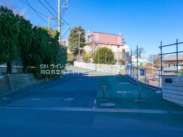 コーポ根岸(川口市立根岸小学校)