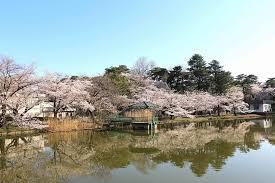 さいたま市大宮区高鼻町2320(大宮公園)