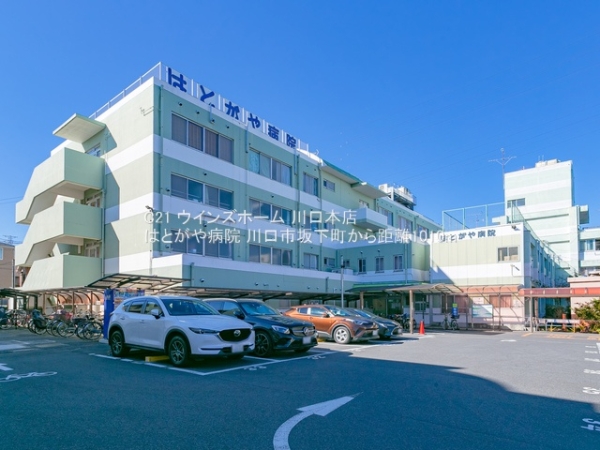 川口市坂下町3丁目の新築一戸建(はとがや病院)