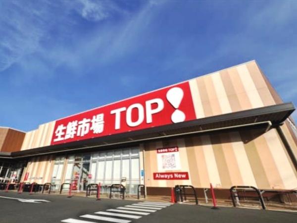 八潮市伊草6期　全1棟　1号棟(生鮮市場TOP八潮伊草店)