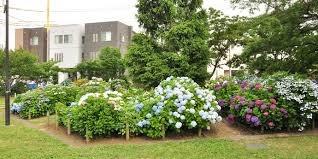 蕨市中央2丁目の中古一戸建て(むねのき公園)