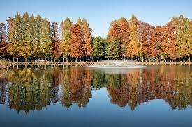 さいたま市南区別所４丁目の土地(別所沼公園)