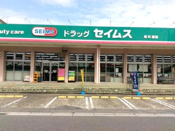 川口市飯原町の中古一戸建て(ドラッグセイムス原町店)