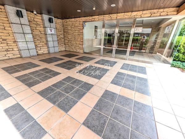 ゼファー川口青木フェリシア