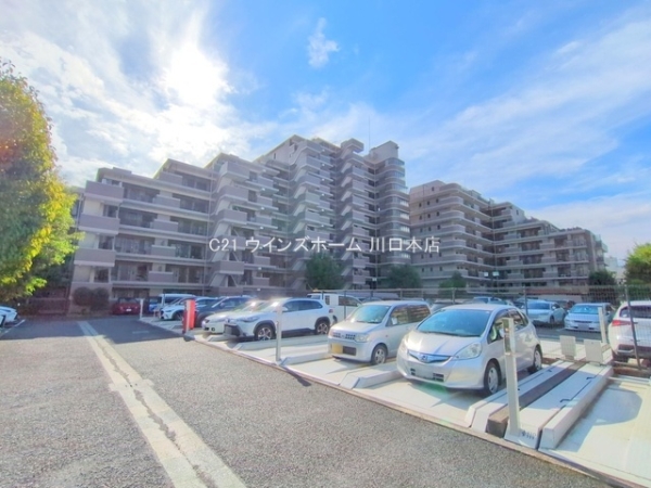 アメニクス川口