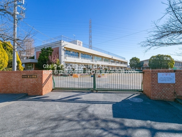 川口市大字里の土地(川口市立里小学校)