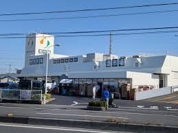 川口市安行北谷629全2棟B号棟(ジャパンミート卸売市場安行店)