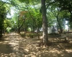 ライオンズ川口並木グランゲート(丁張公園)