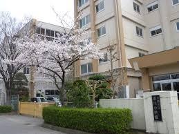 八潮　戸建分譲4棟　96号棟(八潮市立中川小学校)