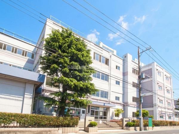 ハイネス新小岩親水公園(江戸川区立松江第三中学校)