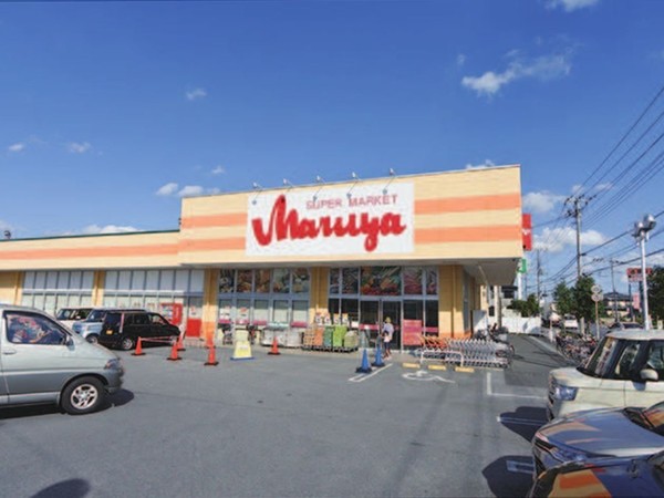 安行出羽　全1棟(ジョイフーズ長栄店)