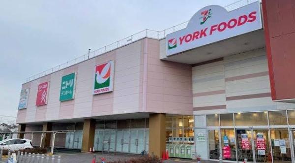 越谷市大泊(ヨークフーズせんげん台店)