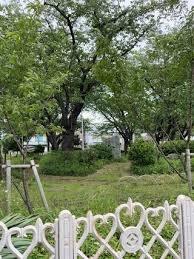 新蕨ハイツ(並木4丁目公園)