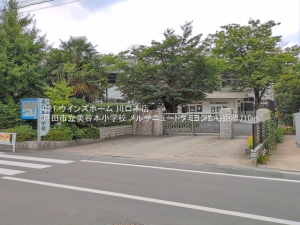 メルサニュートダミヨシ(戸田市立美谷本小学校)