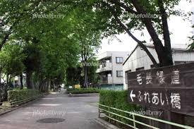 草加市新里町01017　全1棟(毛長緑道)
