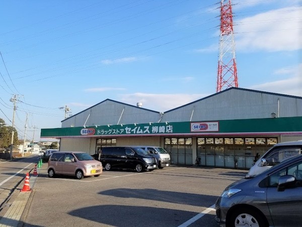 川口市道合93番　A号棟(ドラッグセイムス柳崎店)