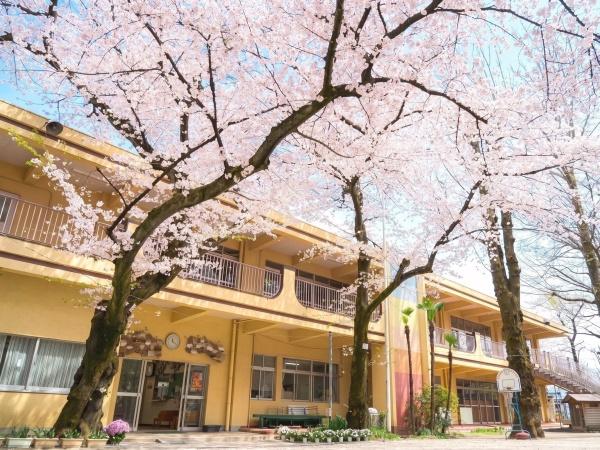 板橋区徳丸６丁目の中古一戸建て(まきば幼稚園)