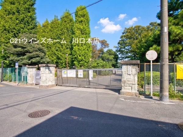 ルピナス蕨(蕨市立第一中学校)