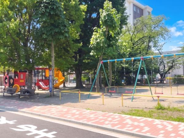 ルピナス蕨(大荒田交通公園)
