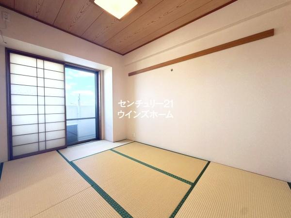 ルピナス蕨