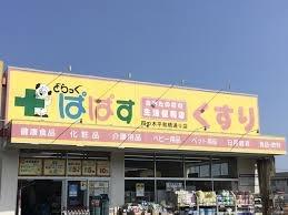 葛飾区四つ木　戸建(どらっぐぱぱす四つ木平和橋通り店)