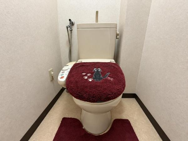 越谷スカイハイツＡ棟