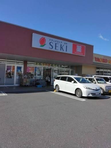草加市原町１丁目の中古一戸建て(ドラッグストアセキ草加原町店)