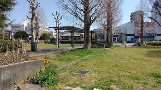 サンライフ並木(丁張公園)