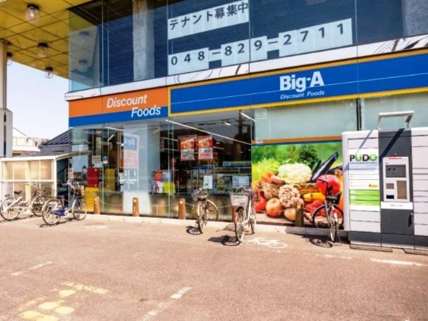 さいたま市南区大字太田窪の中古一戸建て(ビッグ・エー浦和太田窪店)