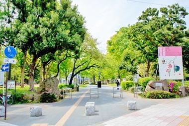 さいたま市浦和区常盤7丁目　2号棟(北浦和公園)