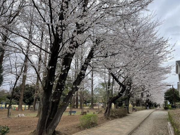 上尾市中妻５丁目の中古一戸建て
