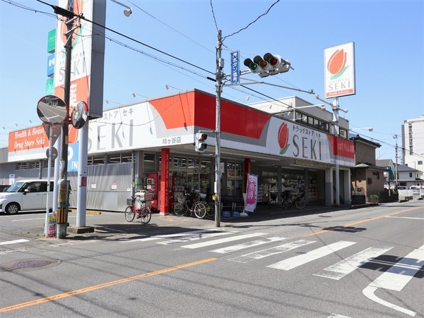 コスモ鳩ケ谷セカンドヴィラージュ(ドラッグストアセキ鳩ヶ谷店)