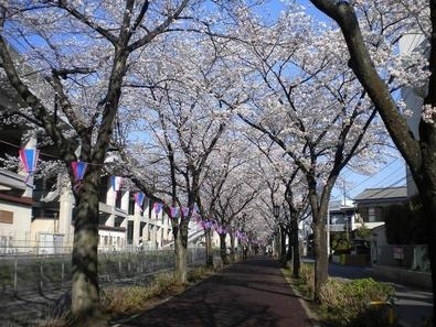 ヒューマンスクエア武蔵浦和(花と緑の散歩道)