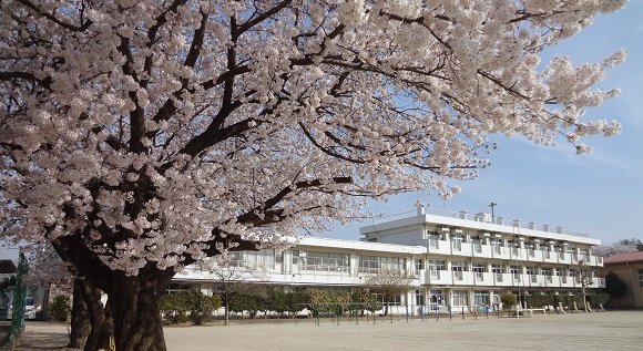 さいたま市岩槻区東町１丁目の中古一戸建て(さいたま市立太田小学校)