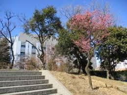 板橋区仲宿の土地(板橋区立加賀中学校)