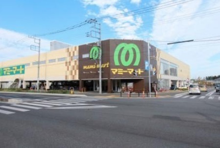 さいたま市見沼区大字南中野の新築一戸建(マミーマート南中野店)