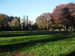 川口市大字東内野の土地(川口自然公園)