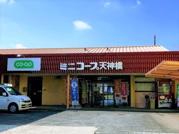 川口上青木 全3棟 3号棟(ミニコープ天神橋店)